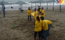 phillips outdoor (11) logo