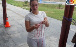 phillips outdoor (13) logo