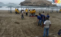 phillips outdoor (7) logo